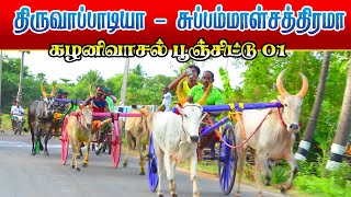 பூஞ்சிட்டு 01 கழனிவாசல் 22-05-2022 தஞ்சை மாவட்டம்   Ponchitu maadu 01  KALANIVASAL KSK REKLA RESH