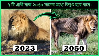 সাতটি প্রাণী যা 2050 সালের মধ্যে বিলুপ্ত হয়ে যাবে।  7 Animals that will be extinct by 2050.