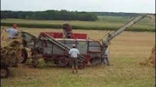 Thrashing Wheat.  CASE Thrashing Machine and CASE Tractors DC, SC, LA, VAC, D.