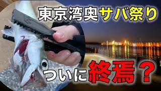 東京湾奥のサバ祭りもついに終焉か？有明西ふ頭公園でサバ釣りに再挑戦