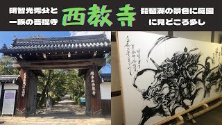 【御朱印2種】大河ドラマにもなった明智光秀公のゆかりの寺、西教寺へ庭園に琵琶湖の景色に見どころたっぷり