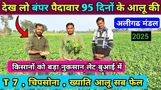 95 दिनों का आलू भी नहीं फूला || 4 वेरायटी की पैदावार देख लो | real farmer education #aalu ##potato