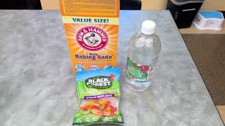 Dancing Gummy Worms Science Experiment!