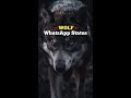 WOLF - Powerful WhatsApp Status