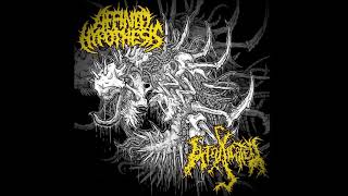 Affinity Hypothesis \u0026 Intoxicated - 2012 - Dual Explosive Brutality [Split]