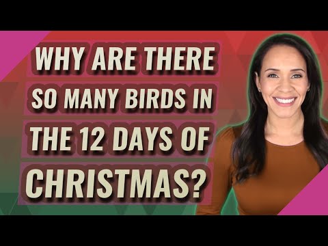 Why are there so many birds in the 12 days of Christmas?