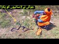 سانپ نے 2 خطرناک سانپ پکڑ لیے،jani jogi catch 2 dangerous snake