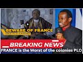 PLO Lumumba EXPOSES RANCE As The WORST Colony | Voice of Africa