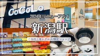 【新潟観光】2024年 進化した新潟駅！/朝ごはんにぴったり 20種類の『新之助』おにぎり/限定ショップであの大人気おせんべい＆お菓子のご当地土産/新しい観光拠点 賑わうCoCoLo新潟【新グルメ】