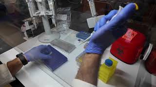 Attacking solid tumors with CAR T cells