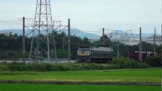 JR貨物　EF66-36号機(吹)牽引貨物 1090レ　　高速通過 　2012/06/28