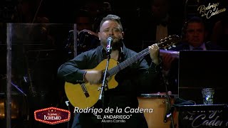 El Andariego - Rodrigo de la Cadena - El Último Bohemio