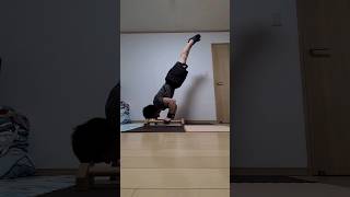 倒立腕立て伏せの練習‼️連続10回が今の目標です🔥 #shorts #handstandworkout #倒立 #ストリートワークアウト #カリステニクス #自重トレーニング #筋トレ