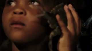 BEASTS OF THE SOUTHERN WILD: \