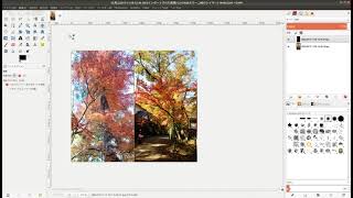 GIMPで画像の結合 2021 06 03 10 24 50