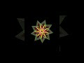 Amazing Star Spiral ⭐  Graphics Design 🔥  using Python turtle 🐢  #593 #coding #programming #python
