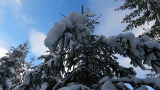 Winter day trip in the mountains Krkonose - Harachov