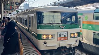 185系 C1編成 新幹線リレー号(団臨) 大宮駅到着