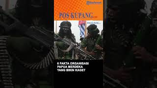 6 Fakta Organisasi Papua Merdeka yang Bikin Kaget, Karena Adu Domba