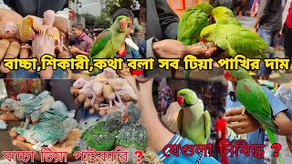 সবধরনের টিয়া পাখির দাম_টিয়া পাখি স্পেশাল_Ringneck parrot price_Tia pakhir Dam 2024_Mirpur Haat