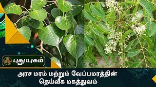 அரச மரம் மற்றும் வேப்பமரத்தின் தெய்வீக மகத்துவம் | Aanmeega Thagavalgal | Puthuyugam TV