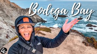 Top things to do in BODEGA BAY!