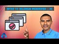 How to work with multiple windows in selenium webdriver