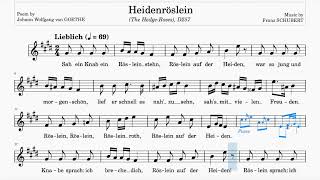 Heidenröslein (Schubert) | E Major | Trinity Grade 3 | Group B | 69 bpm | Sing-Along