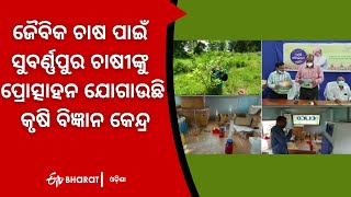 ସୁବର୍ଣ୍ଣପୁର ଚାଷୀଙ୍କୁ ପ୍ରୋତ୍ସାହନ ଯୋଗାଉଛି କୃଷି ବିଜ୍ଞାନ କେନ୍ଦ୍ର |krishi vigyan kendra promoting farmers