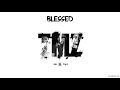 8. tmz blessed official audio seeds album