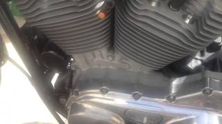 Sportster 883 standard 2004 carburator