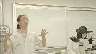 DAPI-FITC-TRITC Microscopy Lab