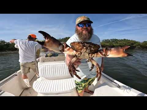 Last Florida Stone Crab Trap Pull Of The Season Youtube