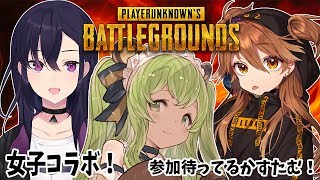 【ＰＵＢＧカスタム】楽しいぱげえええのお時間ですよ！【日ノ隈らん / あにまーれ】