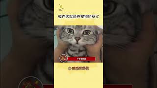 这或许就是养宠物的意义吧#宠物#shorts