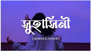 Suhashini [ সুহাসিনী ] | Slowed \u0026 Reverb | Akashcari | Prayangshu | Lyrics By @BRISTY-VIBES