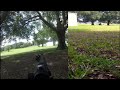 airsoft sr25 shoots 65 yards