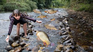 The Orphan girl Ngọc Ánh lucky to Catch giant carp - Goes to Market Frenzy | Ngọc Ánh