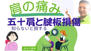 肩の痛み、四十肩五十肩と間違える腱板損傷とは？見分け方#肩の痛み #腱板断裂 #五十肩の治し方