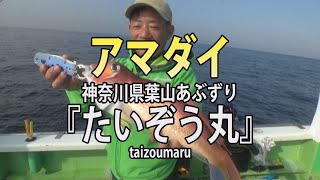 たいぞう丸・神奈川県葉山あぶずり港・アマダイ【オフショアマガジン】