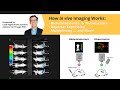 How In Vivo Imaging Works: Bioluminescence & Fluorescence, Reporter Expression ... and more!