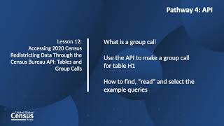Pathway 4-Lesson 12: Accessing 2020 Census Data Through the Census Data API: Tables and Group Calls