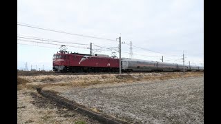 【Japan Railway】仙台カシオペア 返却回送 EF81 80牽引