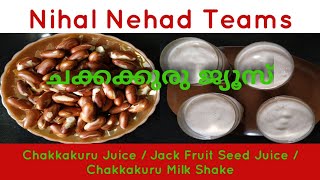 ചക്കക്കുരു ജ്യൂസ് / Chakkakuru Juice /Jack Fruit Seed Juice / Chakkakuru Milk Shake-Recipe Malayalam