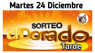 Resultado EL DORADO TARDE Martes 24 de Diciembre de 2024