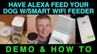 How To Have Alexa Feed Your Dog with Smart WiFi Dog Feeder \u0026 Echo Device