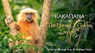 KAKAIJANA : “ The Home Of Golden Langurs ” |  Award Winning Short Film |  TRESURE | #Shortfilm