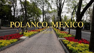 WALKING TOUR POLANCO, MEXICO DF. CHAPULTEPEC FOREST, BIKERS. RUNNERS, DOGS.