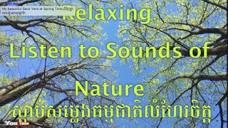 Relaxing, Listen to Sounds of Nature ស្ដាប់សម្លេងធម្មជាតិ