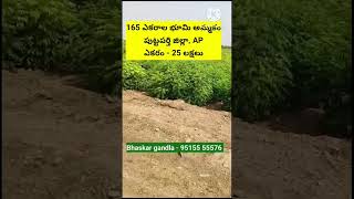 165 Acres Agricultural land sale Puttaparthi district AP || #agriculturelandforsalekarnatakatelangan